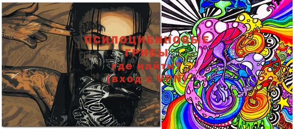 mix Белокуриха