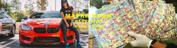 ПСИЛОЦИБИНОВЫЕ ГРИБЫ Белоозёрский