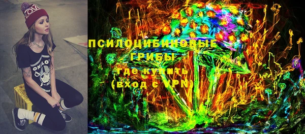 ПСИЛОЦИБИНОВЫЕ ГРИБЫ Белоозёрский