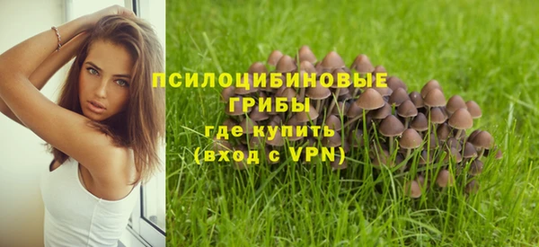 гашишное масло Беломорск