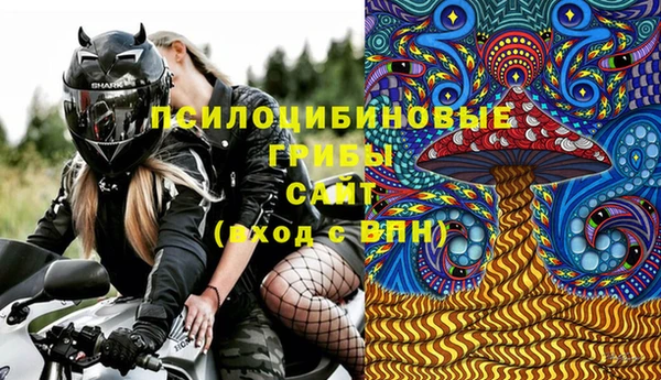 mix Белокуриха