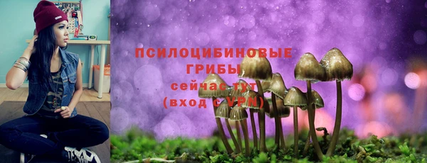 mix Белокуриха