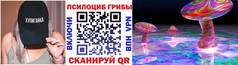 купить закладку  Кузнецк  Галлюциногенные грибы Psilocybine cubensis 