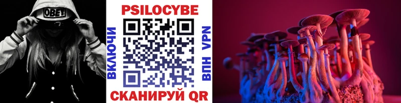 Псилоцибиновые грибы ЛСД Кузнецк